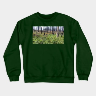 Beautiful Nature Crewneck Sweatshirt